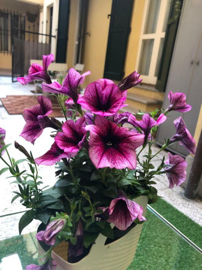 Le Palme Apartment Bologna Exterior foto